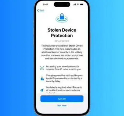 城步苹果授权维修店分享被盗设备保护功能开启方法 