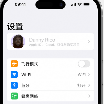 城步appleID维修服务iPhone设置中Apple ID显示为灰色无法使用 