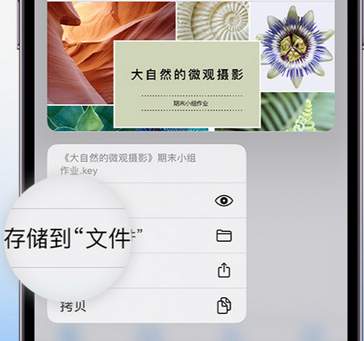 城步apple维修中心分享iPhone文件应用中存储和找到下载文件