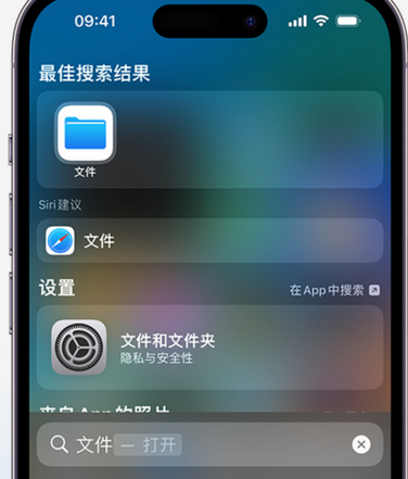 城步apple维修中心分享iPhone文件应用中存储和找到下载文件 