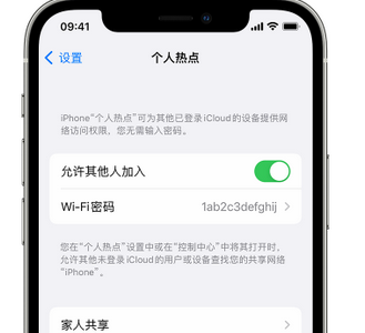 城步apple服务站点分享iPhone上个人热点丢失了怎么办 