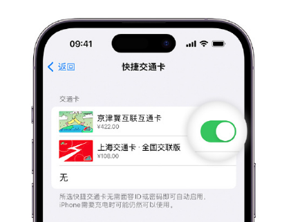 城步apple维修点分享iPhone上更换Apple Pay快捷交通卡手绘卡面 