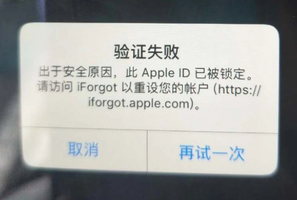 城步iPhone维修分享iPhone上正常登录或使用AppleID怎么办 