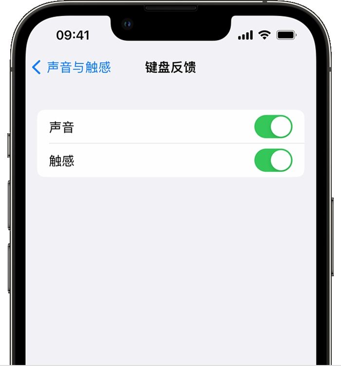 城步苹果14维修店分享如何在 iPhone 14 机型中使用触感键盘 