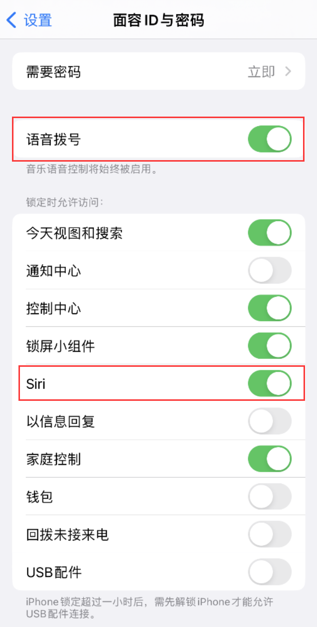 城步苹果维修网点分享不解锁 iPhone 的情况下通过 Siri 拨打电话的方法 