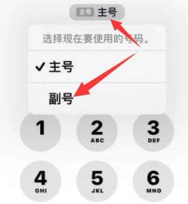 城步苹果14维修店分享iPhone 14 Pro Max使用副卡打电话的方法 