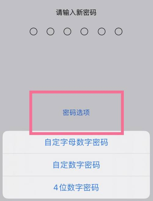 城步苹果14维修分享iPhone 14plus设置密码的方法 