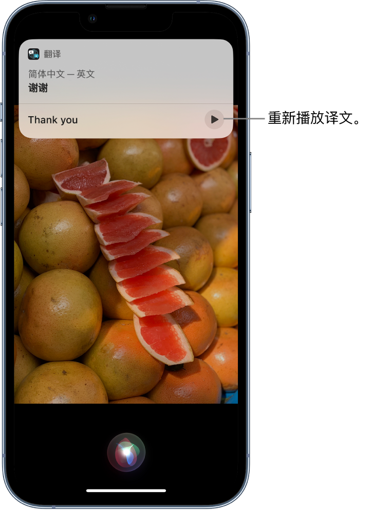 城步苹果14维修分享 iPhone 14 机型中使用 Siri：了解 Siri 能帮你做什么 