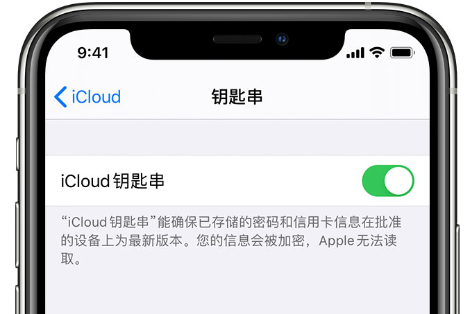 城步苹果手机维修分享在 iPhone 上开启 iCloud 钥匙串之后会储存哪些信息 