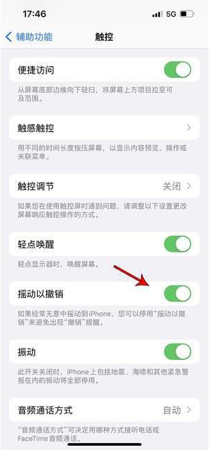 城步苹果手机维修分享iPhone手机如何设置摇一摇删除文字 